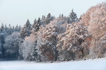 Winter van René Jonkhout