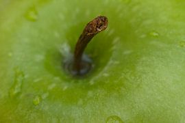 Granny Smith Apple Top by Iris Holzer Richardson