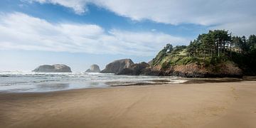 Côte rocheuse de l'Oregon (US) sur Rob IJsselstein