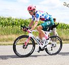 Julius Van Den Berg in the bulb jersey through home country by FreddyFinn thumbnail