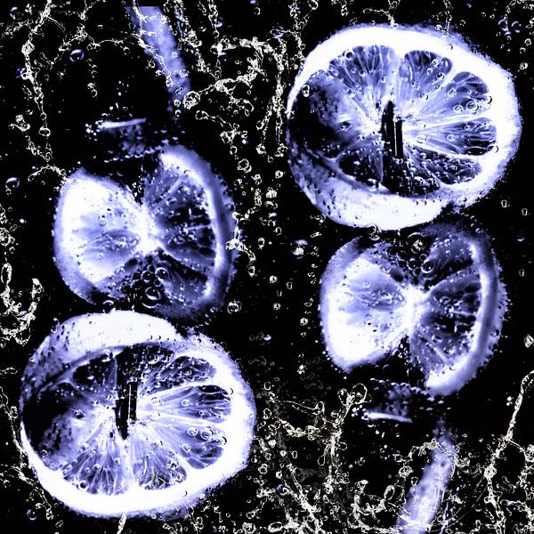 Im Wasserglas - blaue Stunde - Zitronenscheiben von Christine Nöhmeier