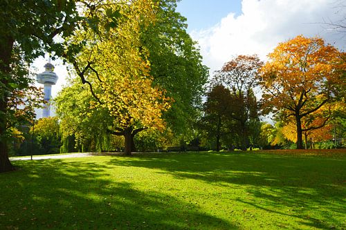 Herfst in Het Park bij de Euromast in Rotterdam van Michel van Kooten