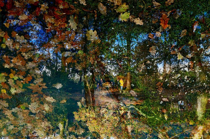 'Mystères magiques&amp;#039 ; par Tymn Lintell