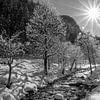 Magie hivernale à Untertauern en noir et blanc sur Christa Kramer