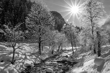 Magie hivernale à Untertauern en noir et blanc