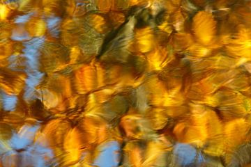 Felle herfstkleuren abstract