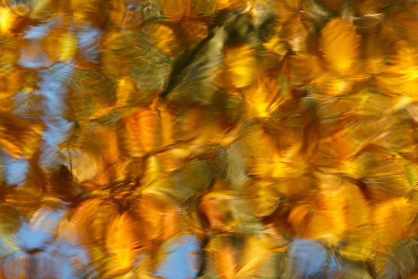 Bright autumn colours abstract by Ronald Moolenaar