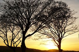 Coucher de soleil