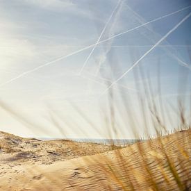 Dunes sur Creacas