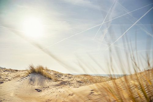 Dunes von Creacas