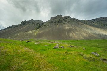 IJsland - Met mos bedekte groene vulkaan achter weiland met wolken van adventure-photos