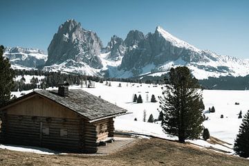 Hut op de Alpe di Siusi van Joris Machholz