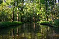 Spreewald 1.0 van Ingo Laue thumbnail