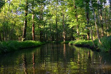 Spreewald 1.0 van Ingo Laue