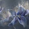 bloem in het blauw van Gelissen Artworks