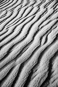 Motif d'une dune dans le désert | Sahara