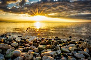 Sonnenuntergang am Bodensee mit Kieselstrand