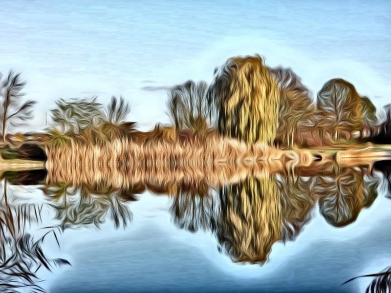digitale kunst bomen reflectie in het water  van Joke te Grotenhuis