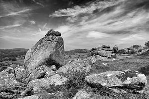 Rocks van Johanna Blankenstein