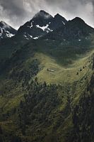 Alpine view 2