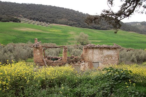 Ruine in het voorjaar
