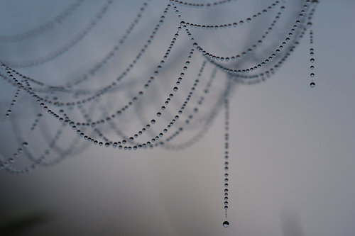 Hangende parelketting