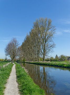 Sentier de randonnée dans la plaine inondable de la Niers près de Wachtendonk