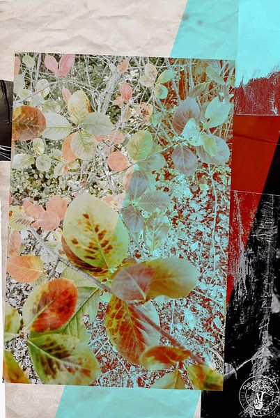 whispers of Leaves by treesgivepeace.nl