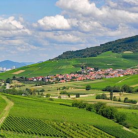 Ebringen with Freiburg winegrowing village in the Markgräflerland region by Ingo Laue