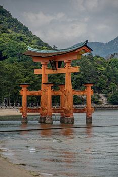 Oranje torii Miyajima Japan