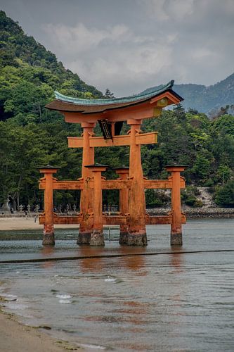 Orange torii Miyajima Japan