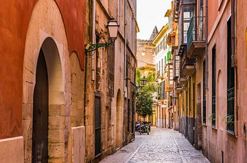 Oude binnenstad van Palma de Mallorca, Spanje Balearen van Alex Winter
