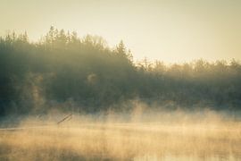 Nebliger Sonnenaufgang am See von Durk-jan Veenstra
