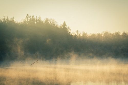 Mistige zonsopgang bij het meer