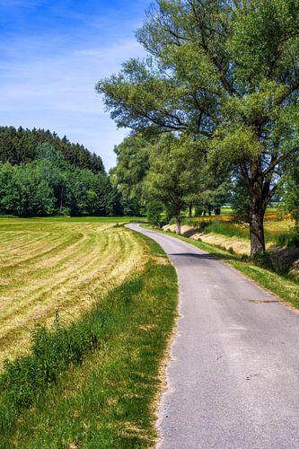 Piste cyclable idyllique en Bavière