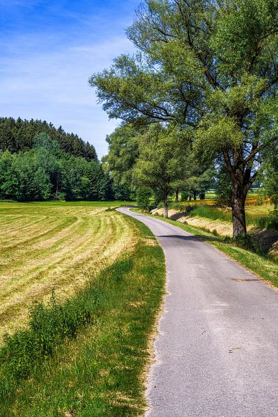 Idyllic bike path in Bavaria by ManfredFotos