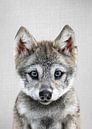 Baby Wolf by Classic artwork thumbnail