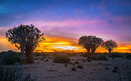Prachtige zonsopkomst boven de Kalahari woestijn, Namibië