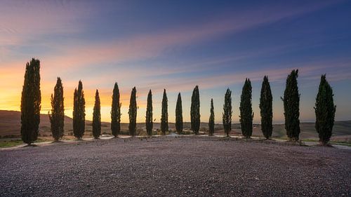Prachtige zonsondergang boven de cirkel van cipressen in Val d'Orcia