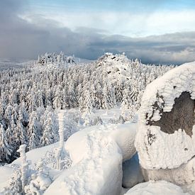 Uitzicht vanaf de Leistenklippe naar het winterse Harz gebergte van t.ART