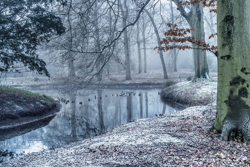 wintersfeer van C mansveld