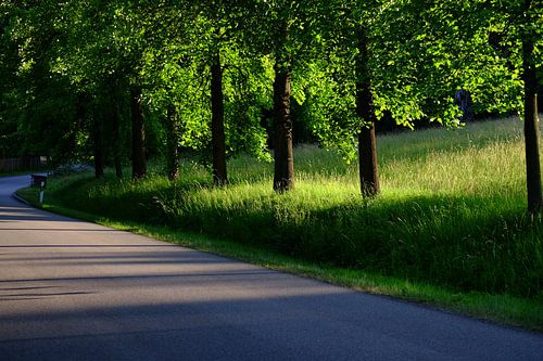 Lumière rasante au Bergpark