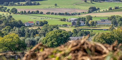 Doorkijkje op de Zuid-Limburgse heuvels bij Epen