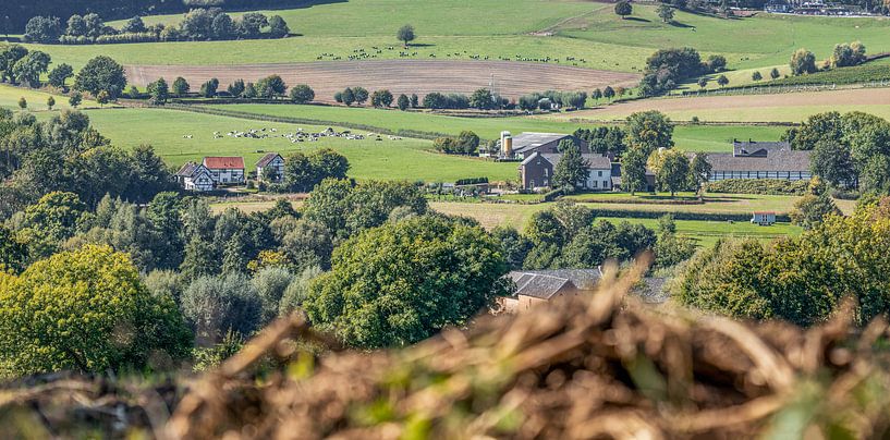 Doorkijkje op de Zuid-Limburgse heuvels bij Epen van John Kreukniet