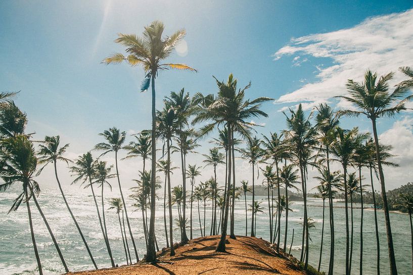 Coconut Tree Hill à Mirissa, Sri Lanka, Asie du Sud par Art Shop West