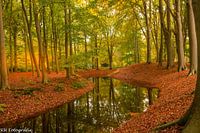 Autumn 2020
