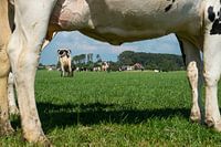 Eenigenburg I