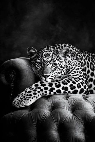 Elegant luipaard
