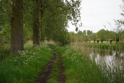 wandelen langs de Dommel