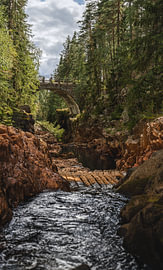 Swedish nature – Vertical photo print of the historic timber rafting on the Brattfallet gorge by Dylan Winter Visuals